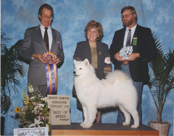 CH Frosty Acres Princess O'Qytealot