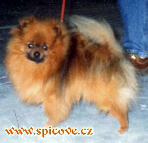 CH HU Kohegyalja Adolf