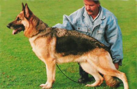 Xandra v.'t Passehof