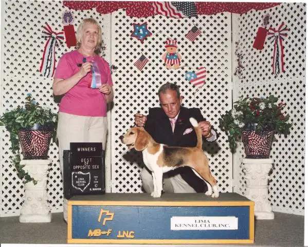 Our Lady Of Little Scruples Of Catulus Xandrina