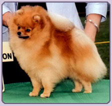 Chriscendo Cloudy Image