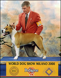 MultiCh,MultiBOG,MultiBISS, AKC Ch, WW2000 Mein Staffi Xidorf
