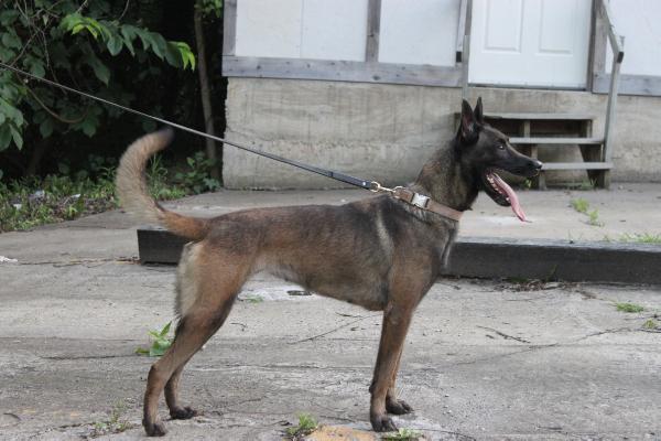 UWD's Keila