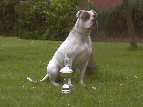Eleonora's/Bullforce Zola