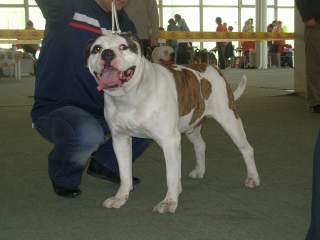 CH UA Vadi Hallfa Flambo