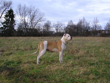 Criked's Alma aka Sally