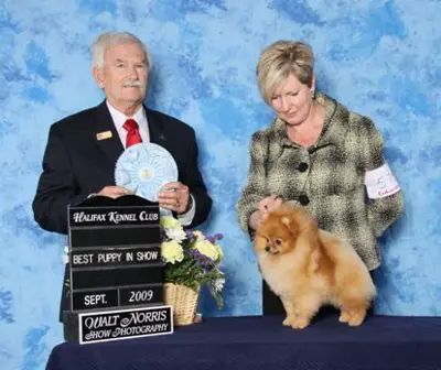 BPIS AM CAN CH Chriscendo Call Waiting