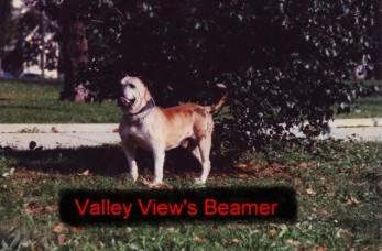 Valley View's Beamer