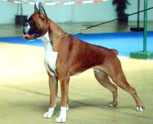 Byron de Turdetania