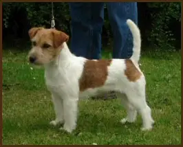 NU CH Touchstar Magician