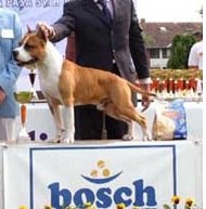 Speranza Grande d'Artagnan