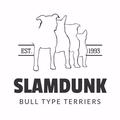 SLAMDUNK EU