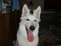 urka